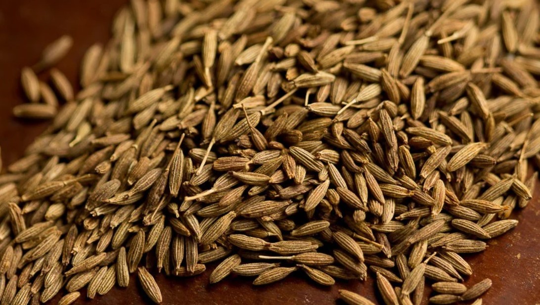 The Hidden Power of Jeera: 16 Surprising Health Benefits of Cumin Seeds