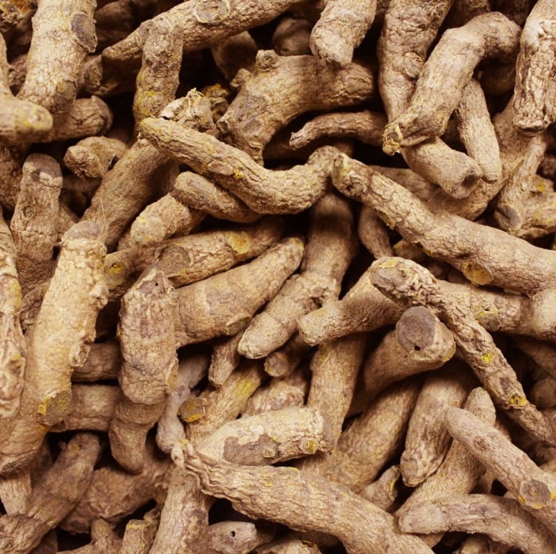 A powerful golden herb - turmeric health benefits for daily wellness